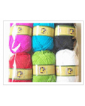 Zhang Jiagang Shenglian Special Yarn co., Ltd.